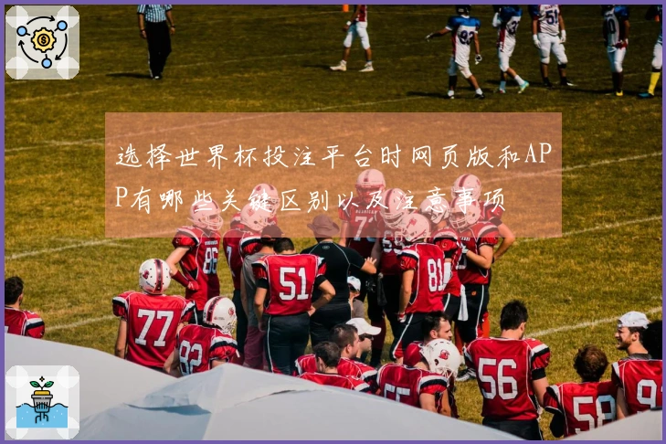 选择世界杯投注平台时网页版和APP有哪些关键区别以及注意事项