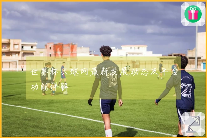世界杯买球网最新发展动态及平台功能详解