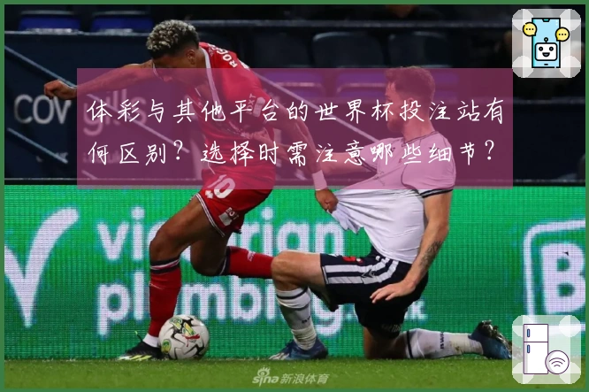体彩与其他平台的世界杯投注站有何区别？选择时需注意哪些细节？