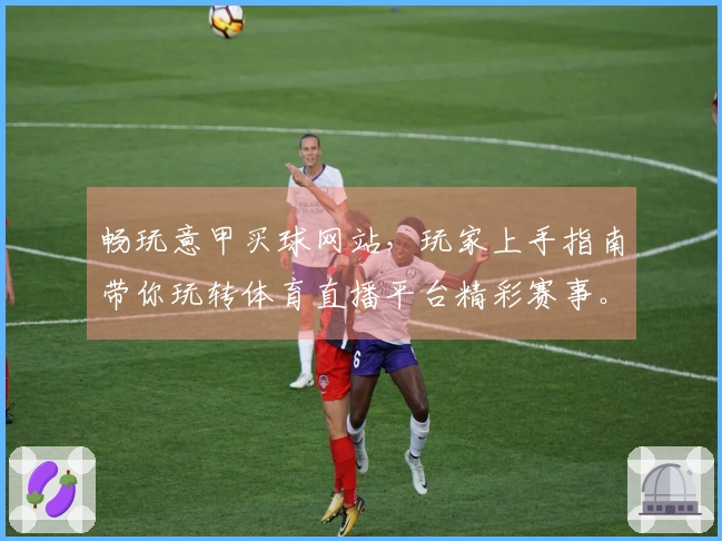 畅玩意甲买球网站，玩家上手指南带你玩转体育直播平台精彩赛事。