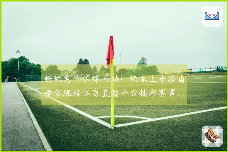 畅玩意甲买球网站，玩家上手指南带你玩转体育直播平台精彩赛事。
