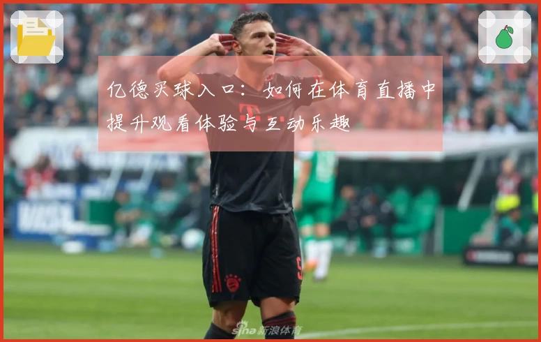 亿德买球入口：如何在体育直播中提升观看体验与互动乐趣