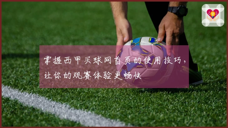 掌握西甲买球网首页的使用技巧,让你的观赛体验更畅快