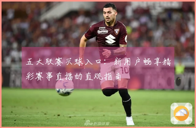 五大联赛买球入口：新用户畅享精彩赛事直播的直观指南