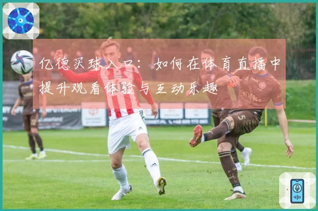 亿德买球入口：如何在体育直播中提升观看体验与互动乐趣