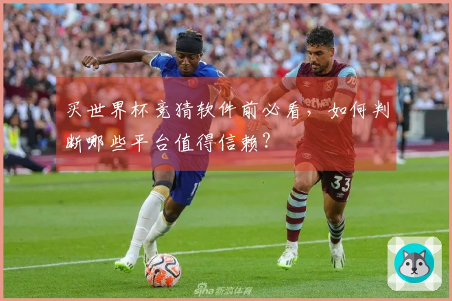买世界杯竞猜软件前必看，如何判断哪些平台值得信赖？