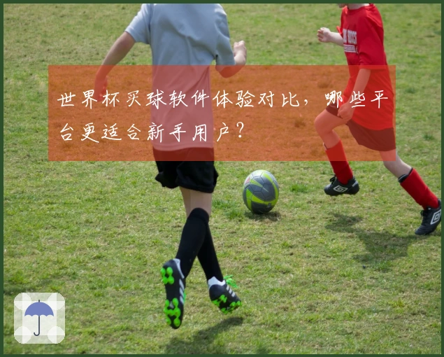 世界杯买球软件体验对比，哪些平台更适合新手用户？