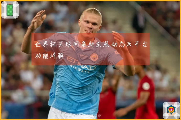 世界杯买球网最新发展动态及平台功能详解