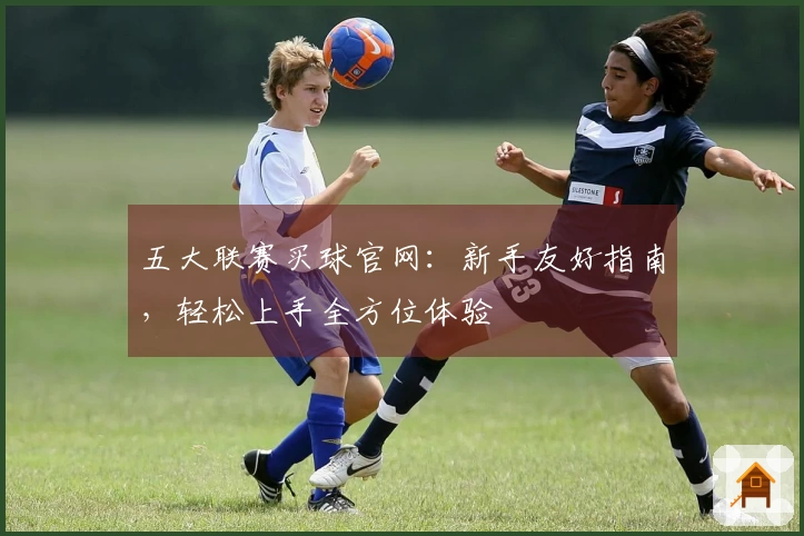 五大联赛买球官网：新手友好指南，轻松上手全方位体验