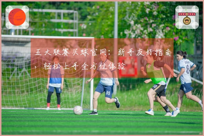 五大联赛买球官网：新手友好指南，轻松上手全方位体验
