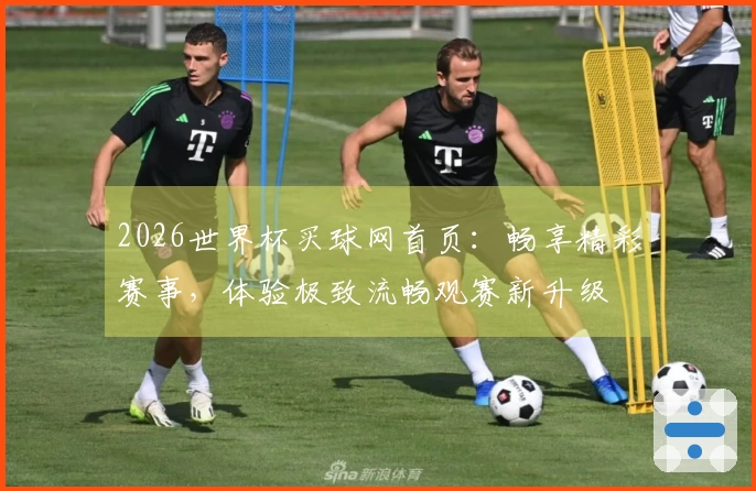 2026世界杯买球网首页:畅享精彩赛事,体验极致流畅观赛新升级
